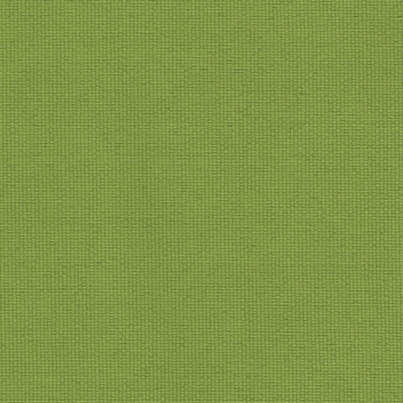 Brightside Apple - Outdoor Upholstery Fabric